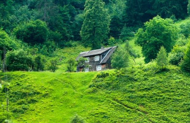 710个用于着色的图像数据集