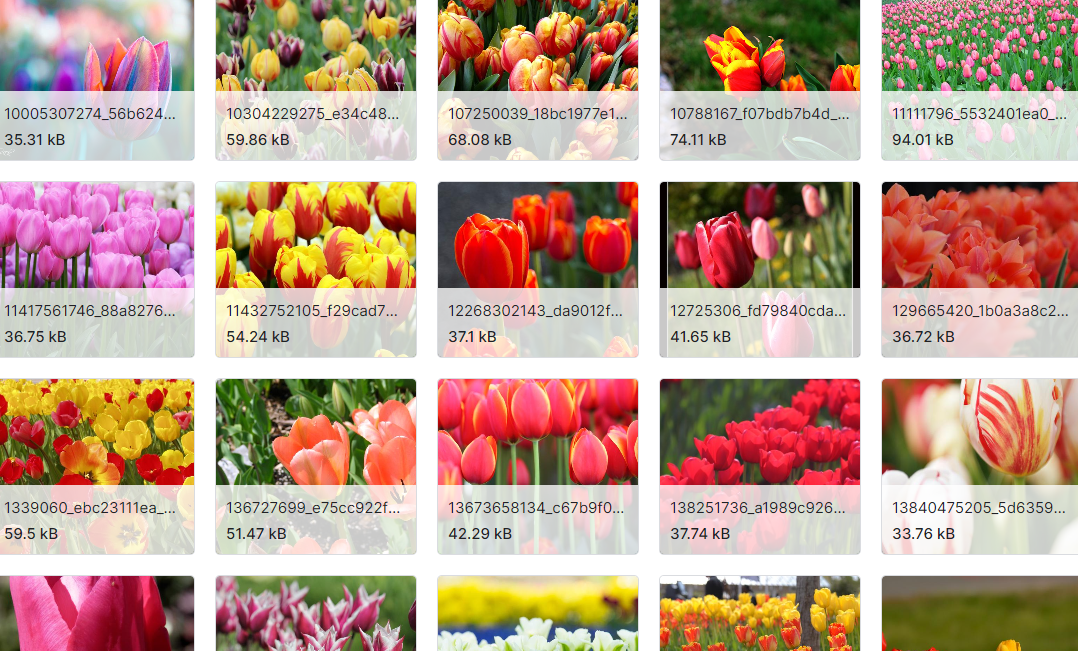 7种花卉图片数据集