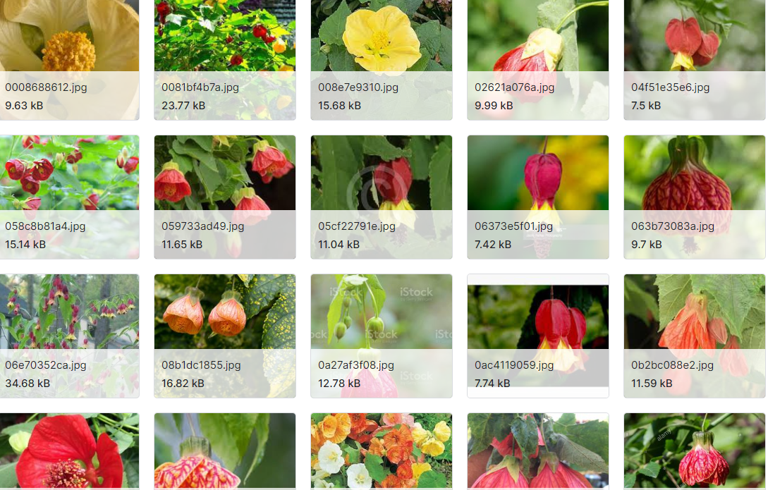 299种花卉的图像汇编数据集