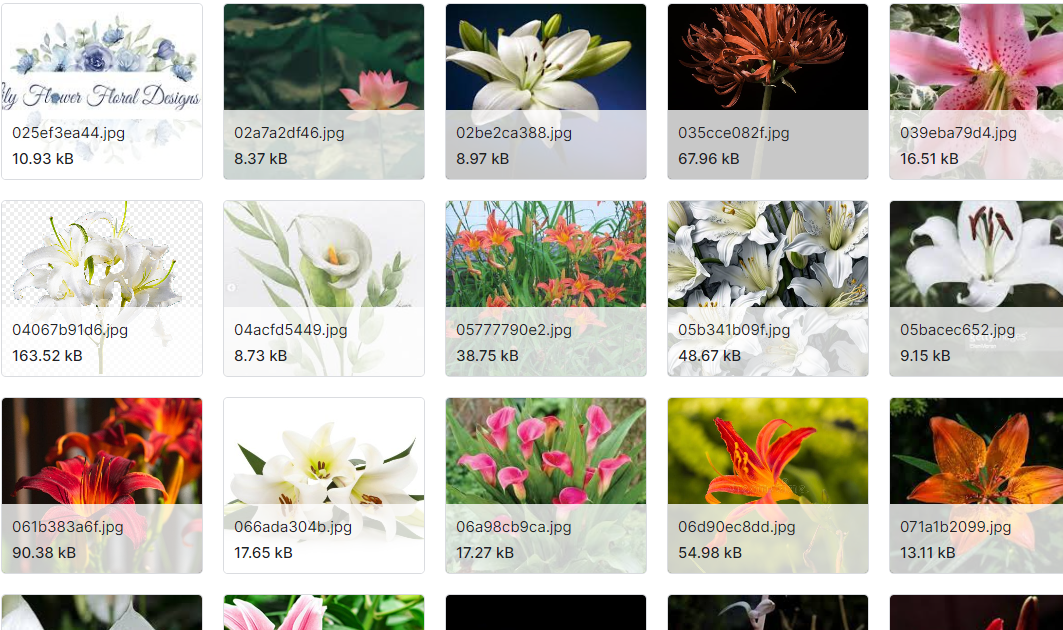 5种花卉类型分类数据集