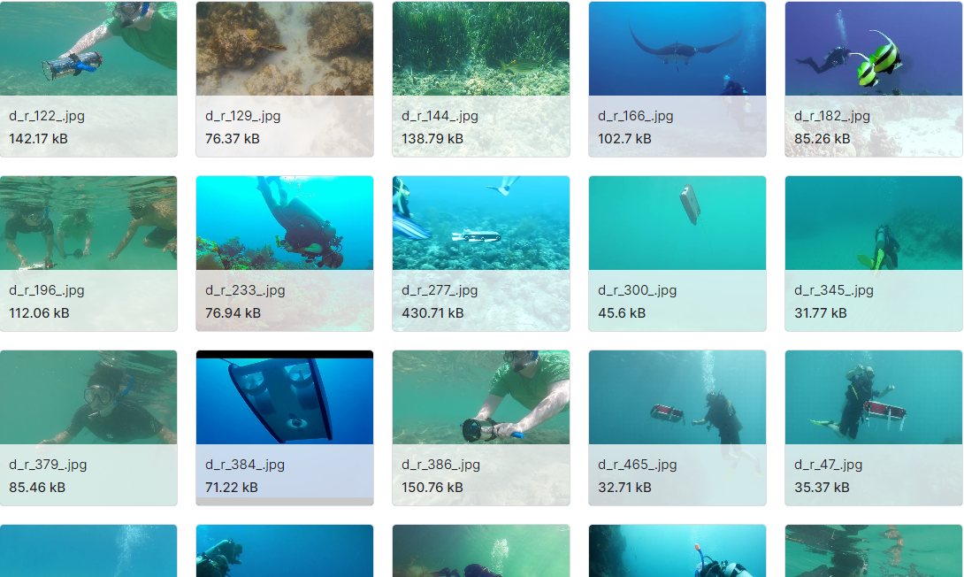 用于水下语义分割的大规模数据集