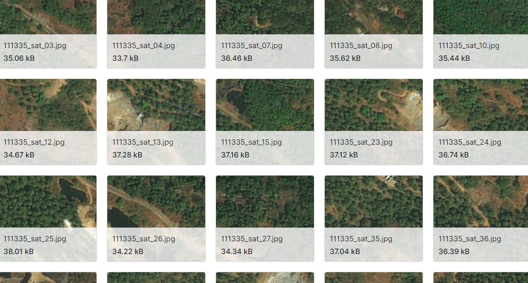 用于图像分割任务的森林航空图像数据集