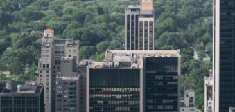 树木普查数据集