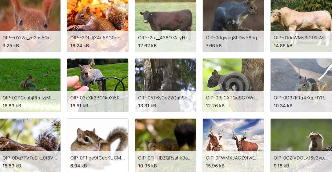 识别动物数据集