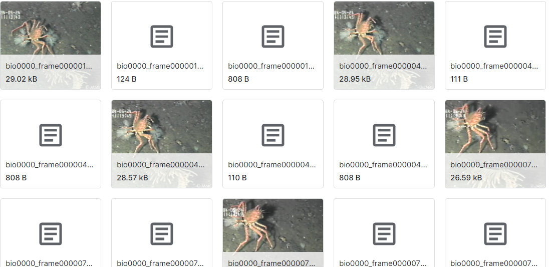 水下垃圾检测数据集