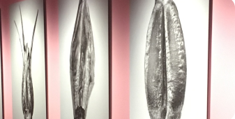 产品分析数据集