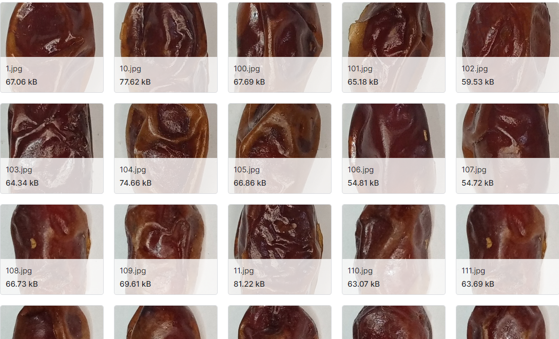 枣果图像分类及等级检测数据集