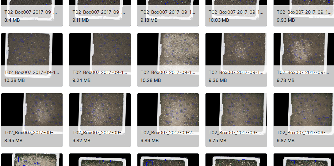 144张带有精确植物分割遮罩的图像数据集
