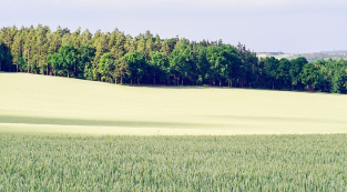 全球粮食和农业统计数据集