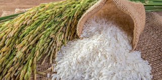 五种不同的水稻图像数据集