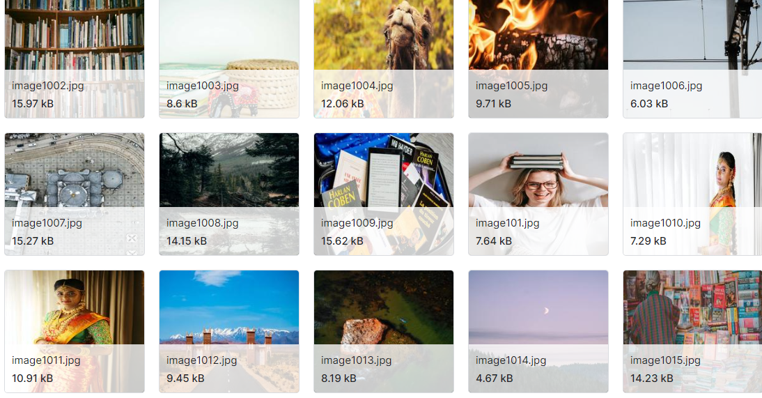 检测图像上随机放置的圆的坐标数据集