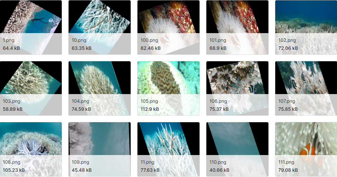 珊瑚分类数据集