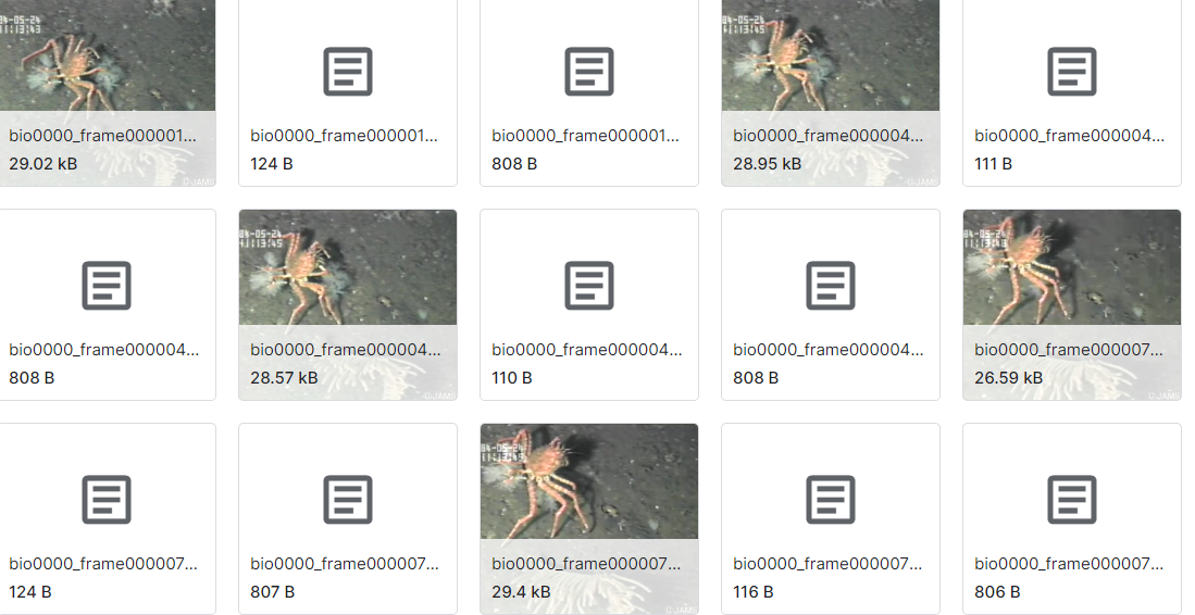 标注水下垃圾的图片数据集