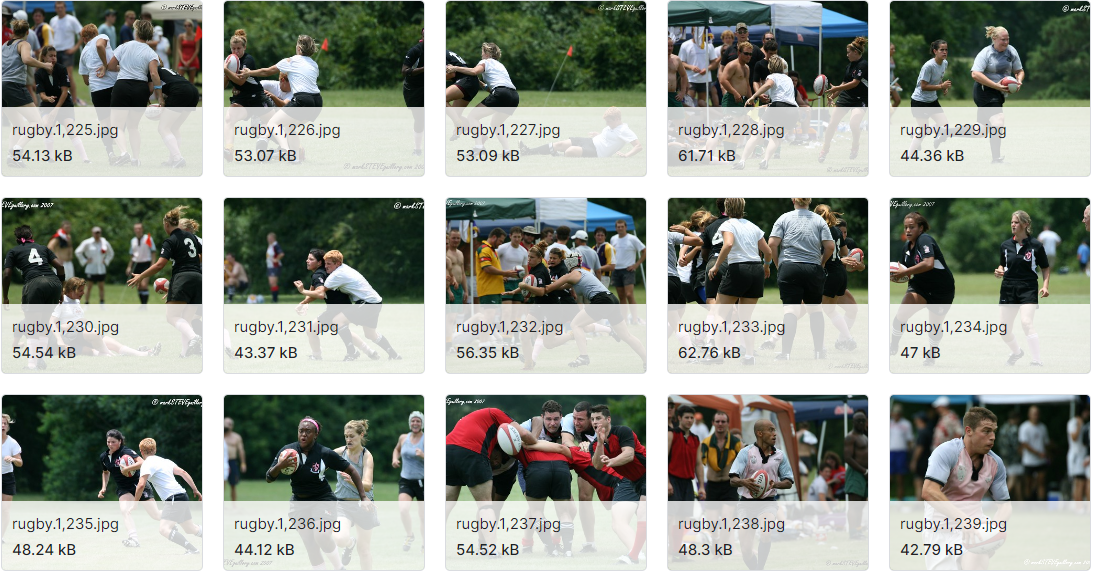 用于图像分类的美式足球和橄榄球图像数据集