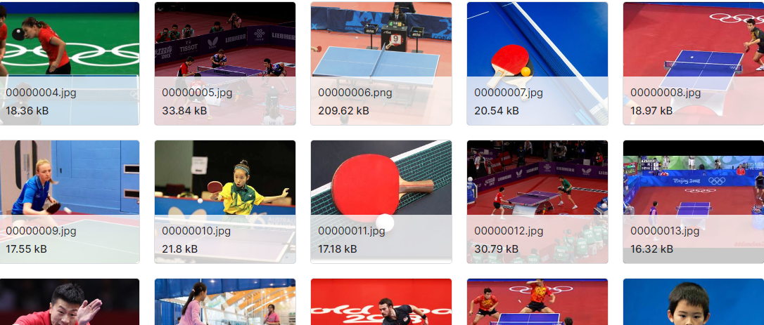 用于图像分类的体育数据集