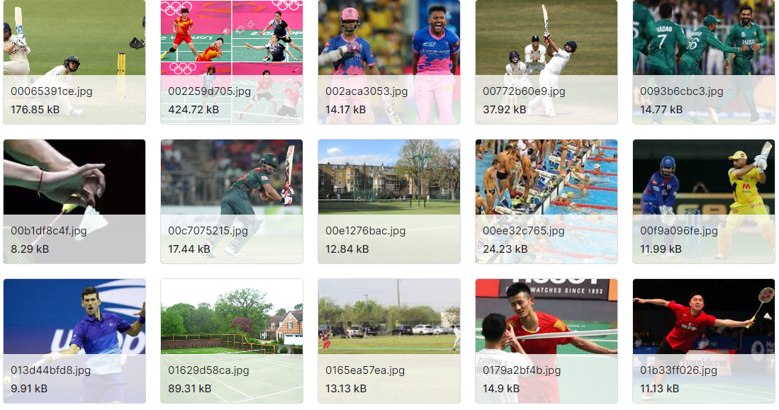 8项体育赛事的1579张图片数据集