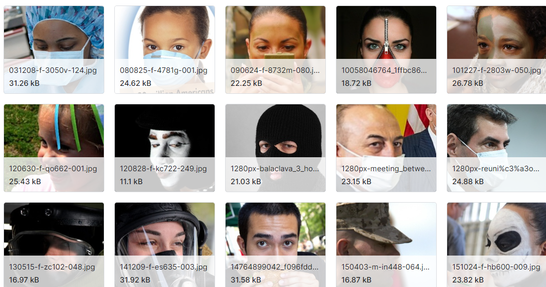 眼镜太阳镜口罩图片数据集