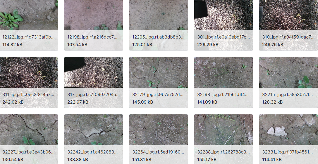 用于目标检测的野草图像数据集