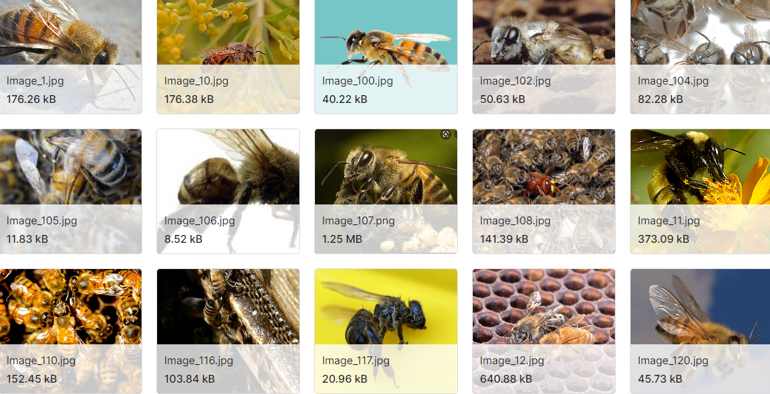 农业环境中发现的15种有害昆虫的图片数据集