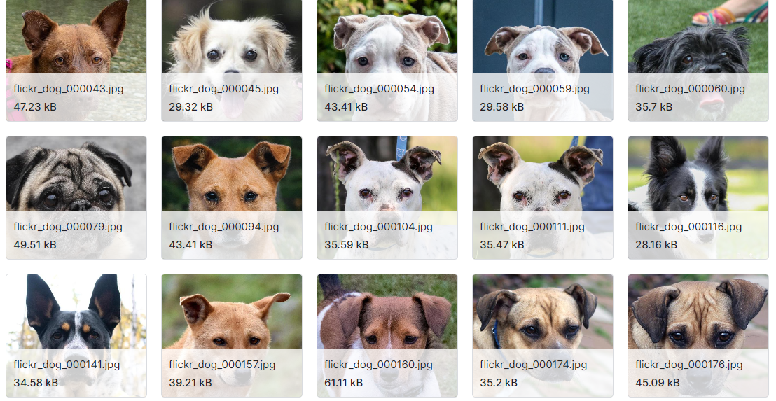 16,130幅动物图像数据集