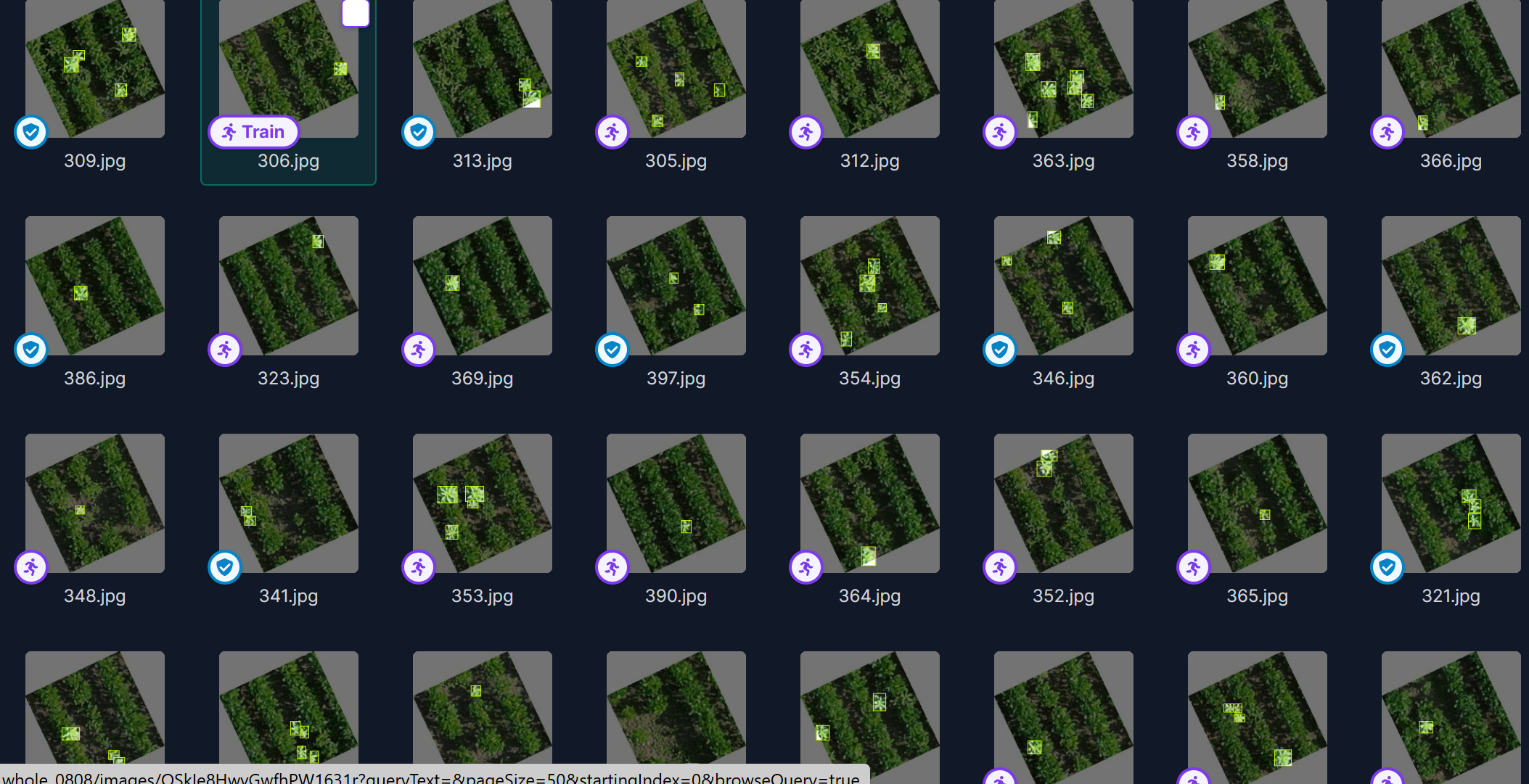 无人机视角下大豆田杂草识别图像数据集