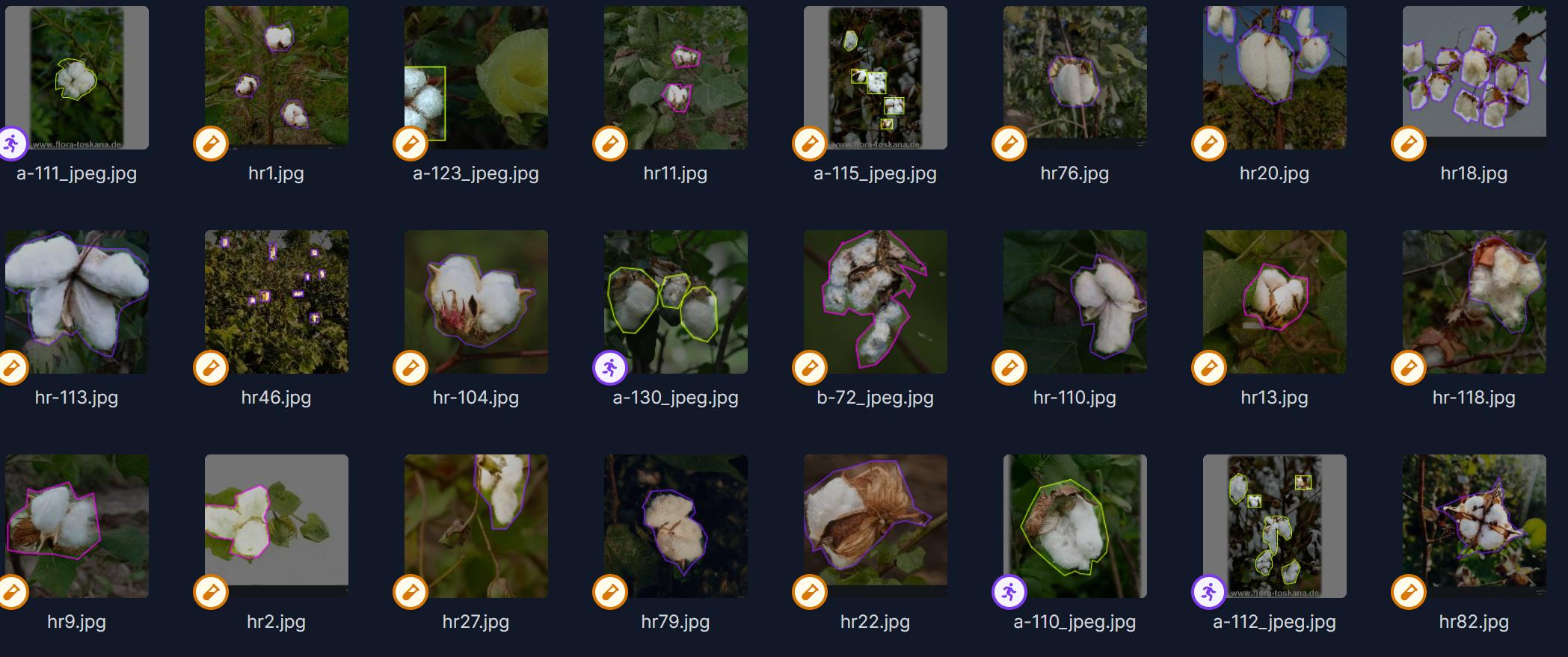 棉花图像识别深度学习数据集