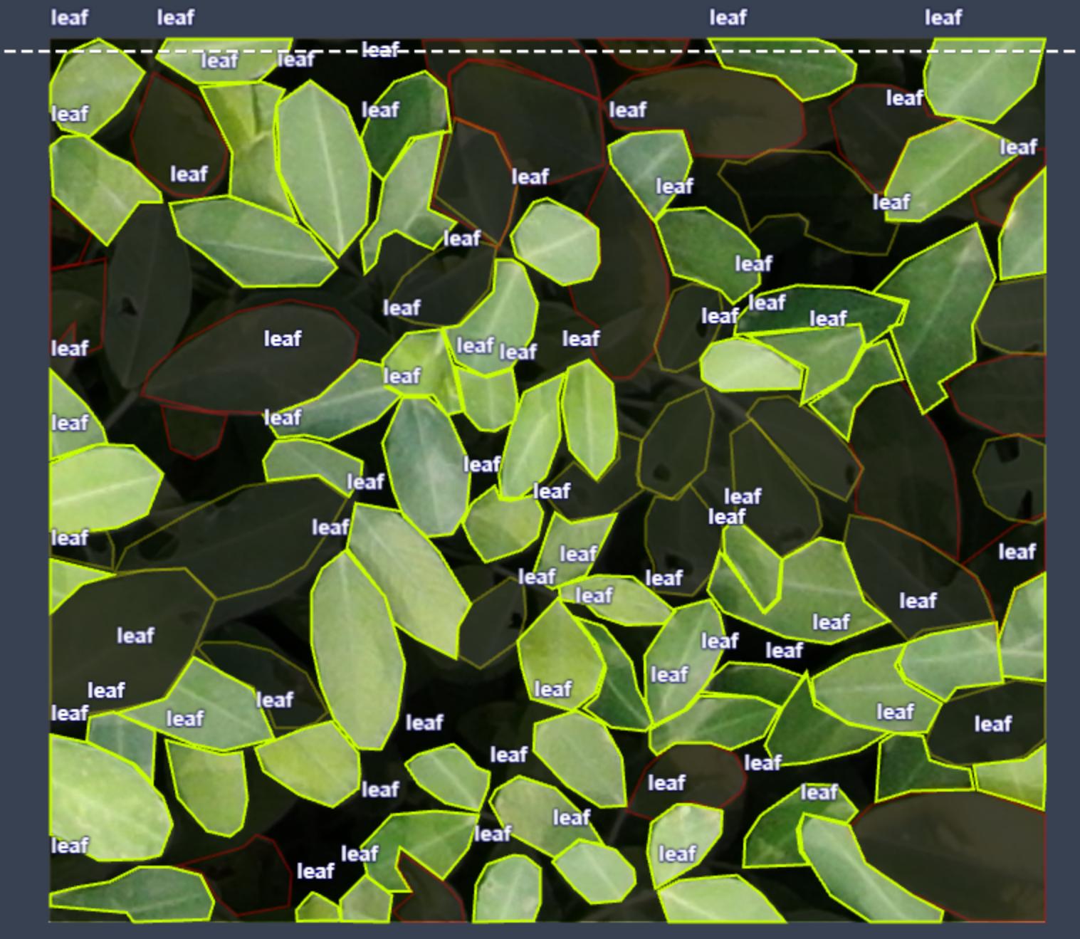 豆类叶片（健康、病害、虫害）分割识别图片数据集