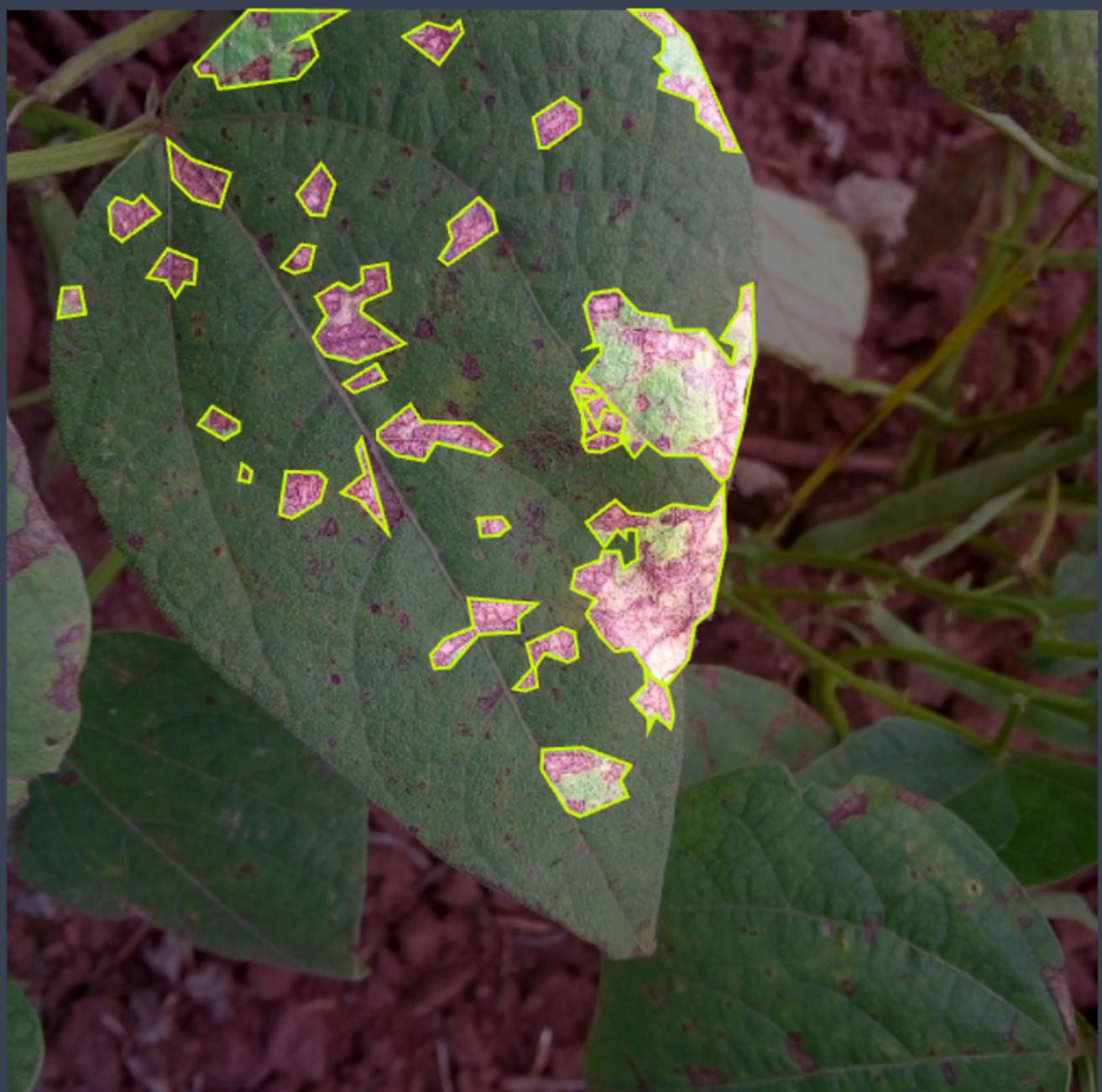 大豆叶片分割图片数据集（包含病虫害镂空）