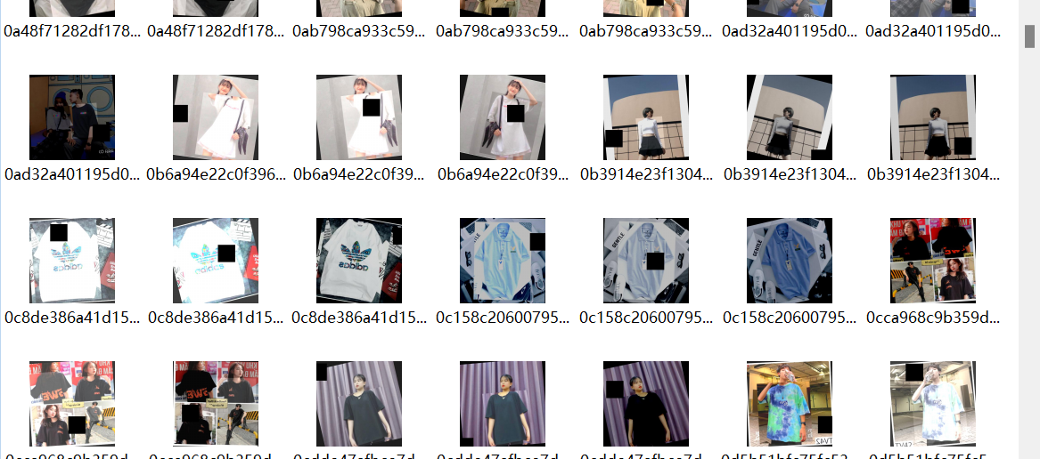 半袖深度学习图片数据集