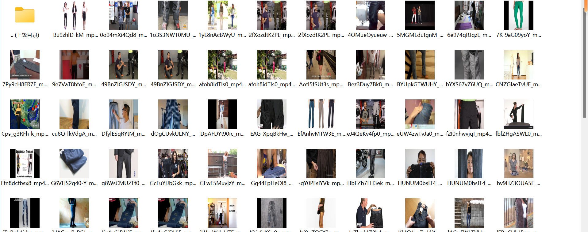 运动裤、短裤图片数据集