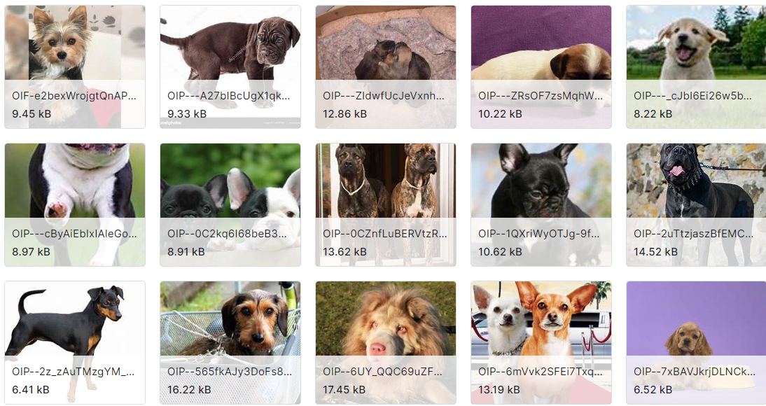 10个不同类别的动物图片数据集