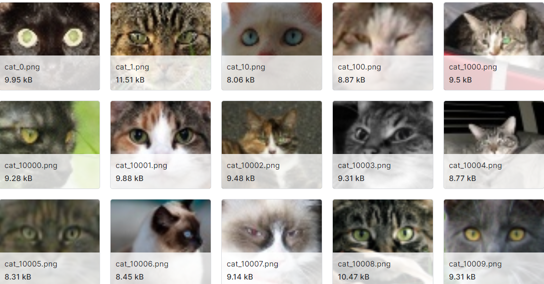 包含29843张猫图片的数据集