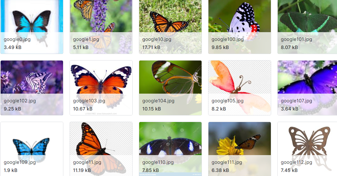 昆虫识别图像数据集