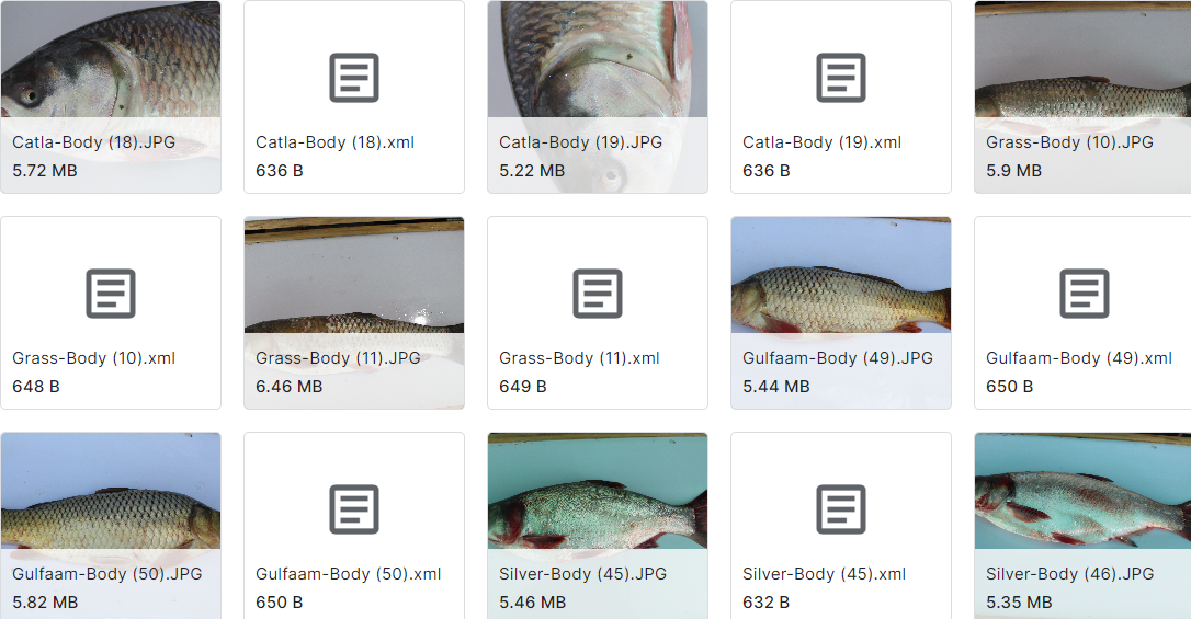 包含鱼类的对象检测数据集