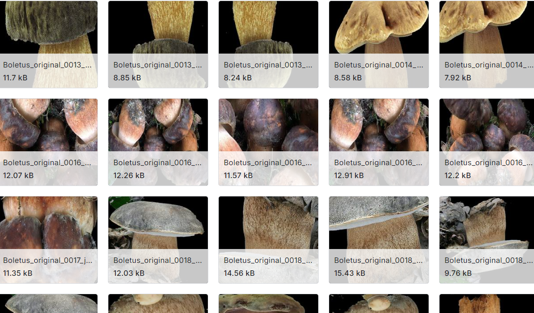 12种蘑菇的综合鉴定数据集