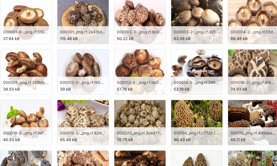 20多种蘑菇分类图片数据集