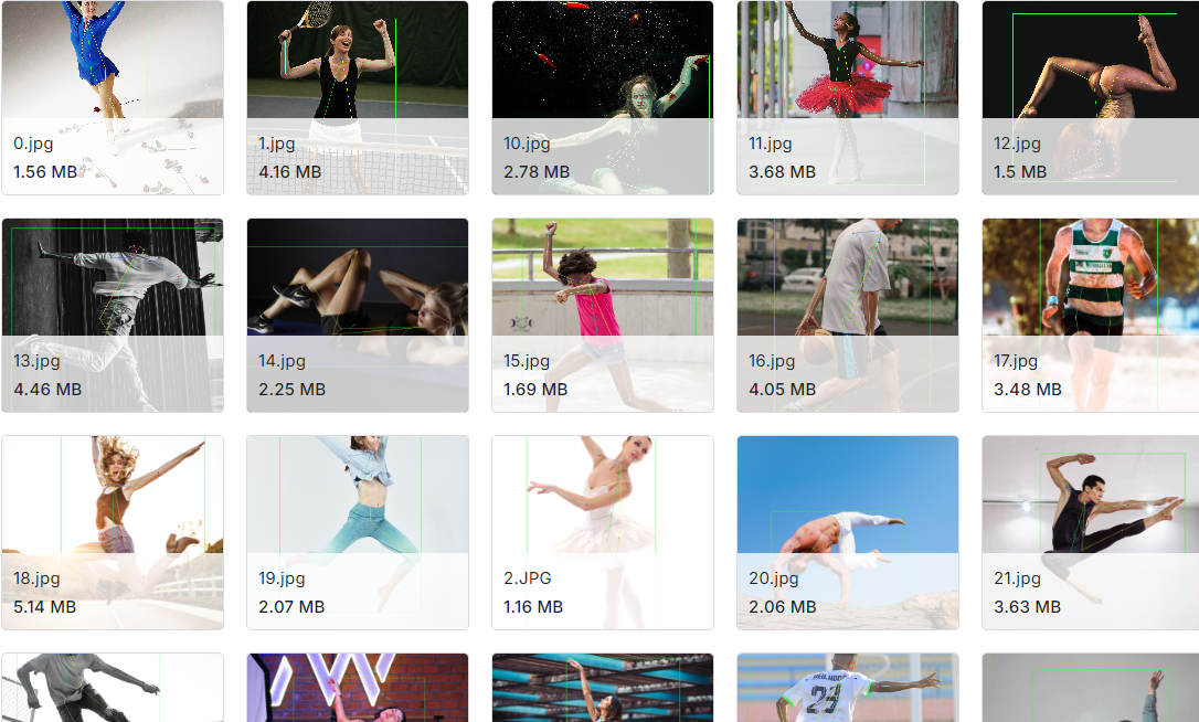 人体姿态评估图片数据集