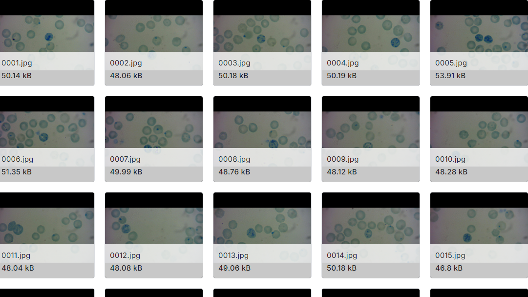 不同细胞类型的显微图像数据集