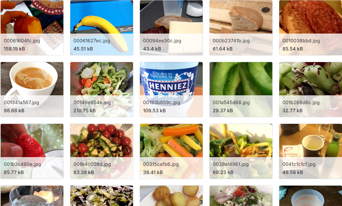 大量的食品分类图像数据集