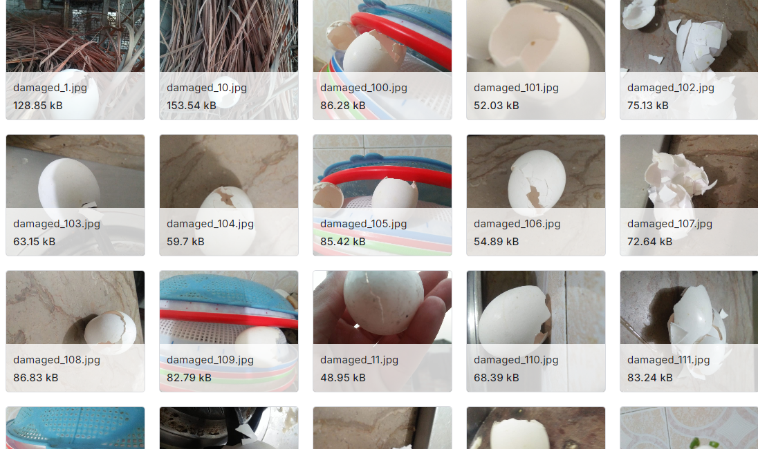 鸡蛋图像数据集