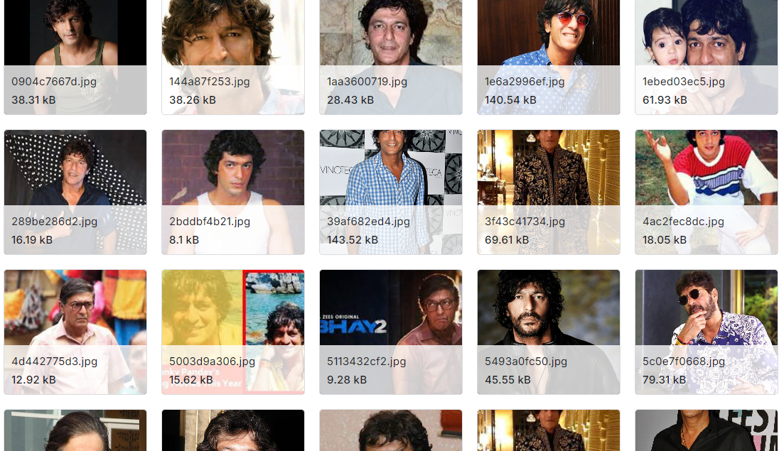 印度演员图像数据集