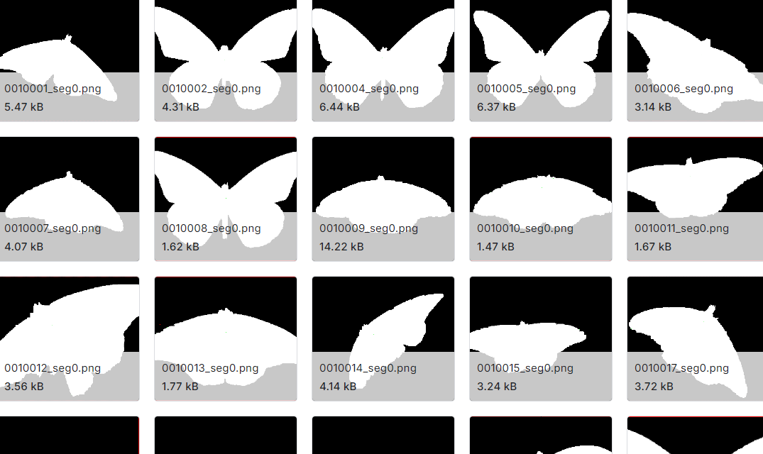 基于自然语言描述的蝴蝶图片数据集