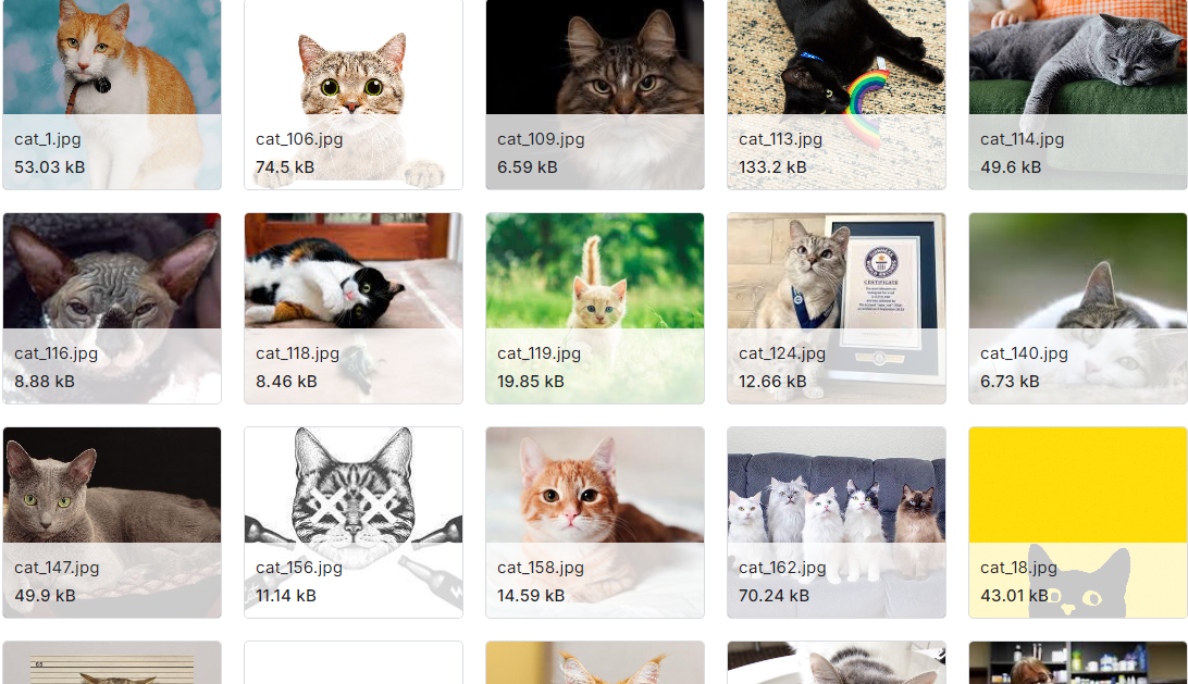 猫和狗图像分类数据集