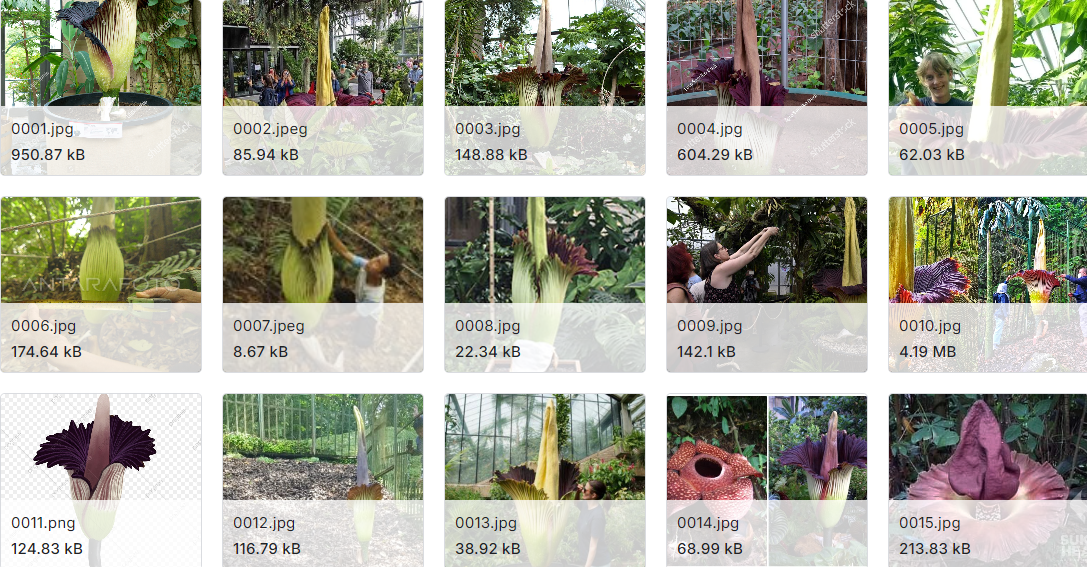 和印尼植物相关的图像数据集