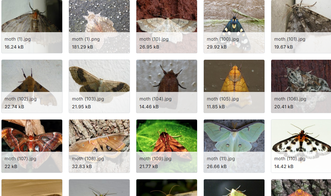 农业有害生物图像数据集