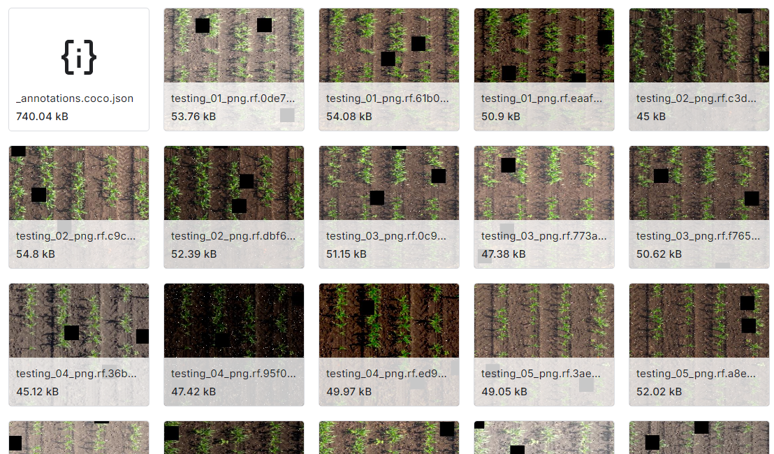 高粱作物品种检测图像数据集