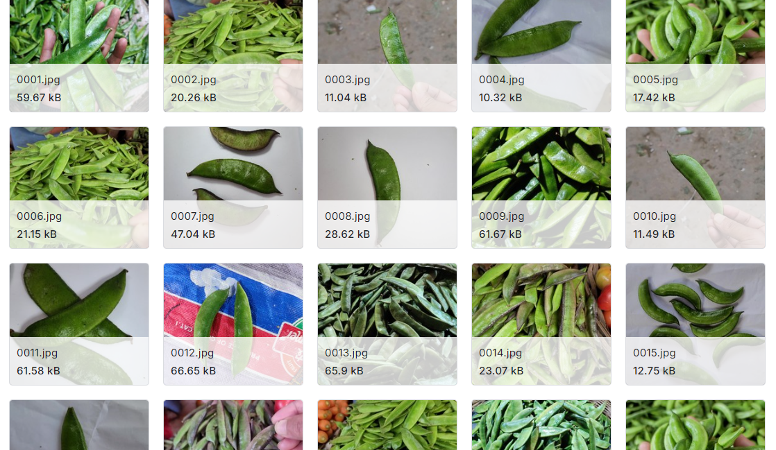 蔬菜分类与识别图像数据集