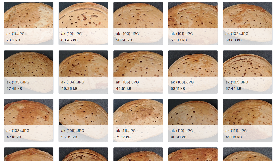 杏仁品种(阿克、努尔鲁、西拉、卡帕多克亚)图像数据集
