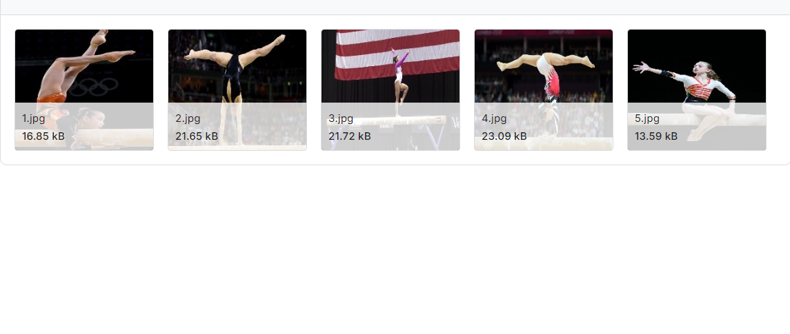 100种运动图像分类数据集