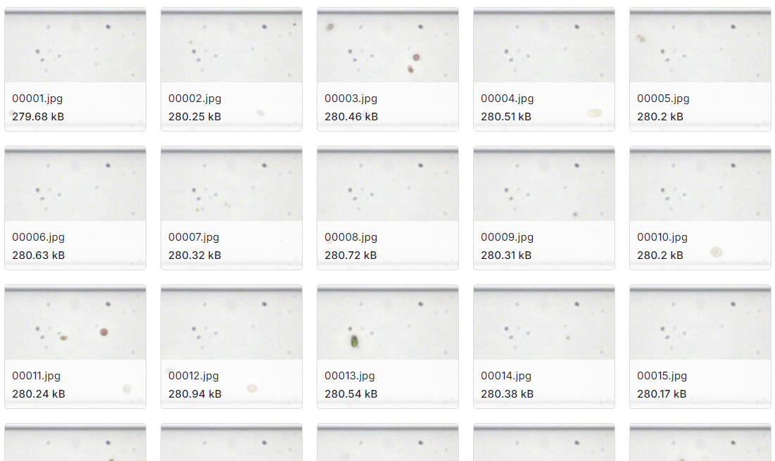 高通量海藻细胞检测图像数据集（2023年）